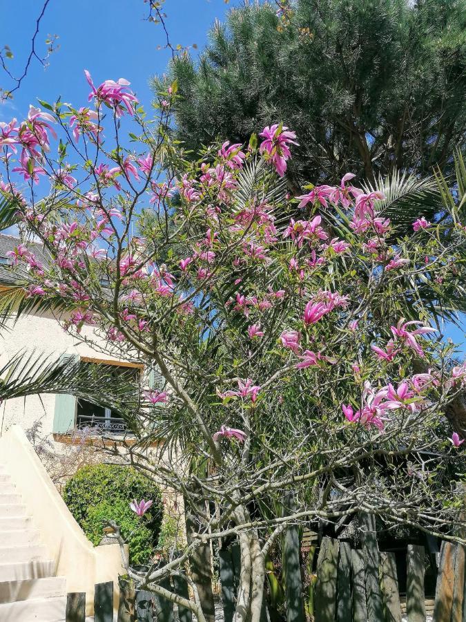 Guest House Dans Jardin Exotique Proche D'Une Voie Verte 莫尔莱 外观 照片