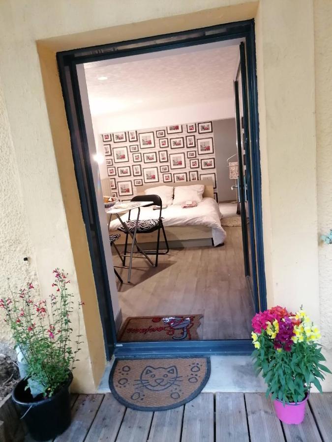 Guest House Dans Jardin Exotique Proche D'Une Voie Verte 莫尔莱 外观 照片